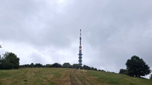 Javořina - Velká Javořina - Holubyho chata - Květná