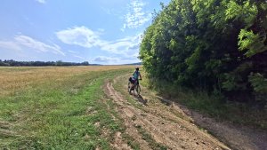 Šumperk - Buková hora - Suchý vrch - Červená Voda - Kocanda -  Šumperk
