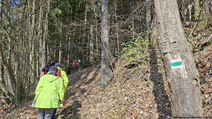 Jindřichov - zřícenina hradu Pleče - Hanušovice