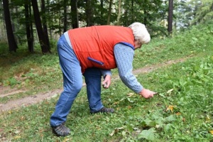 Úklid na rozhledně, na Háji a přístupových cestách. foto Vojta Krejčí