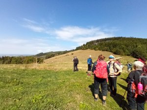 Vápenice - Mikulčin vrch - Malý Lopeník - Veľký Lopeník - Lopeník