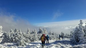 Ovčárna - Temná - Kapličkový vrch - Malá Morávka