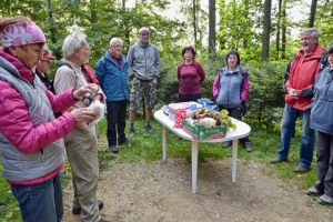 Úklid na rozhledně, na Háji a přístupových cestách. foto Vojta Krejčí