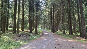 Šumperk - Buková hora - Suchý vrch - Červená Voda - Kocanda -  Šumperk