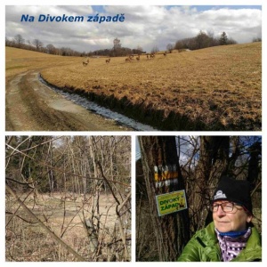 Anička na Divokém západě