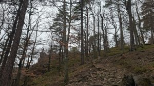 Javorník - Čertovy kazatelny  - Rychleby - Tančírna