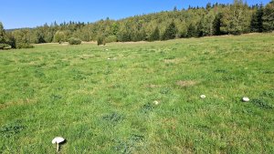 Góry Złoty - Szwedzkie Szańce – Trojak - Lądek-Zdrój