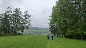 Lesní zážitková NS - Komňátka - štola Mařka – Bohdíkov - Komňátka