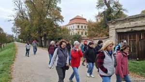 Rajhrad - Židlochovice - rozhledna Akátová věž - Blučina