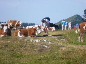 Postalm (Poštovní louka)