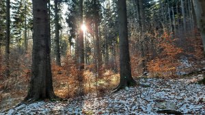 Ovčárna - Temná - Kapličkový vrch - Malá Morávka