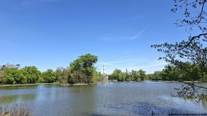 Podivín - CHKO Soutok - Lednice - Minaret - Lužní les - Kančí obora - Břeclav