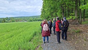 Pohořany - Strom splněných přání - Cesta světla - Bělkovice-Lašťany