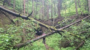 Lesní zážitková NS - Komňátka - štola Mařka – Bohdíkov - Komňátka