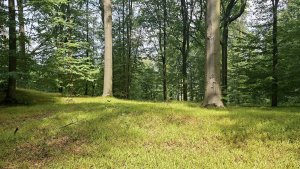 Úsov - Litovelské Pomoraví - Doubrava - Moravičany