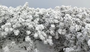 Ovčárna - Temná - Kapličkový vrch - Malá Morávka