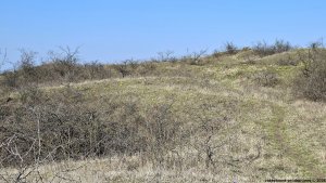 Hustopeče - Mandloňové sady - Kurdějov