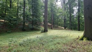 Úsov - Litovelské Pomoraví - Doubrava - Moravičany