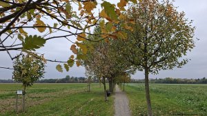 Rajhrad - Židlochovice - rozhledna Akátová věž - Blučina