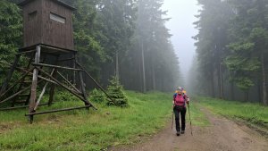 Vysoké Žibřidovice - Cibulka - Sviní hora - Vojtíškov - Podlesí