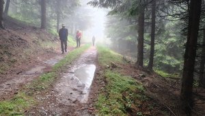 Vysoké Žibřidovice - Cibulka - Sviní hora - Vojtíškov - Podlesí