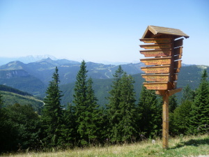hora Zwölferhorn