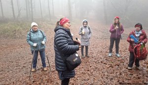 zdobení vánočního stromku...Vápenice - Křížek - Katovna - Sokolovna