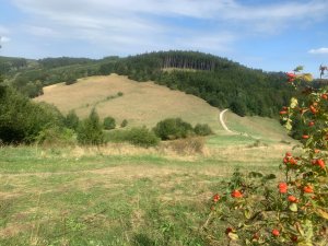 Vápenice - Mikulčin vrch - Malý Lopeník - Veľký Lopeník - Lopeník