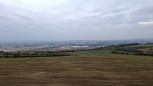 Rajhrad - Židlochovice - rozhledna Akátová věž - Blučina