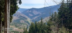 Červenohorské sedlo - Sedlo pod Vřesovkou - Kouty nad Desnou