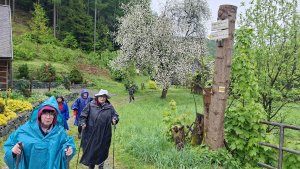 Lesní zážitková NS - Komňátka - štola Mařka – Bohdíkov - Komňátka