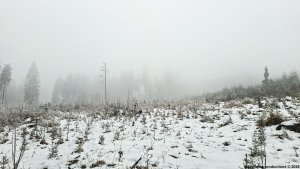 Písařovské sedlo - Spálenisko - Kocanda