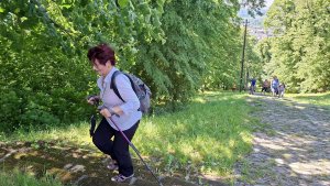 Krnov - Cvilín - zřícenina hradu Šelenburk - rozhledna Hanse Kudlicha - Úvalno