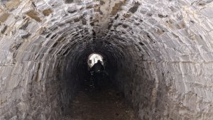 Lesní zážitková NS - Komňátka - štola Mařka – Bohdíkov - Komňátka