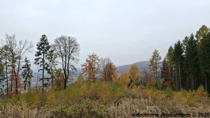 Petrov nad Desnou - Bukovka - Velké Losiny