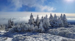 Ovčárna - Temná - Kapličkový vrch - Malá Morávka