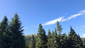 úplněk Ovčárna - Praděd - Ovčárna - Pecný - Skřítek
