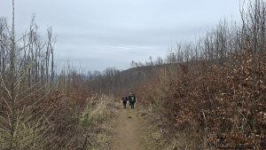 Javorník - Čertovy kazatelny  - Rychleby - Tančírna