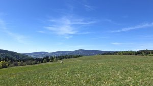 Červená Voda - Křížová hora - Moravský Karlov - Zašívárna - Písařov