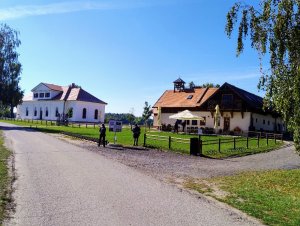 Pohansko