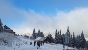 Ovčárna - Temná - Kapličkový vrch - Malá Morávka