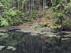 Pohořany - Strom splněných přání - Cesta světla - Bělkovice-Lašťany
