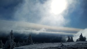 Ovčárna - Temná - Kapličkový vrch - Malá Morávka