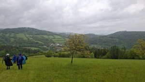Lesní zážitková NS - Komňátka - štola Mařka – Bohdíkov - Komňátka