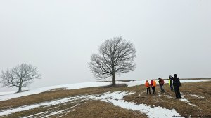 Písařovské sedlo - Spálenisko - Kocanda