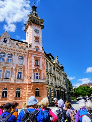 Krnov - Cvilín - zřícenina hradu Šelenburk - rozhledna Hanse Kudlicha - Úvalno