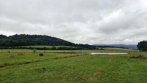 Kobylá nad Vidnavkou - Mojmírův rybník - Lánský vrch - Žulová