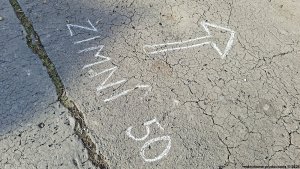Šumperská zimní 50 - Hrabišín - Brníčko - Postřelmov