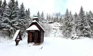 Z vycházky Filipovoce, Točník, Červená hora, Červenohorské sedlo. Vedl Šálek, foto M.Kalužík