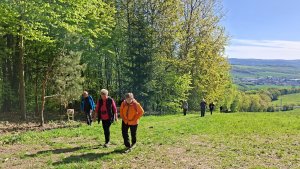 Libina - Tři kameny - Bradlo - Nová Hradečná Jana hadra Vlasta Vidrmanová